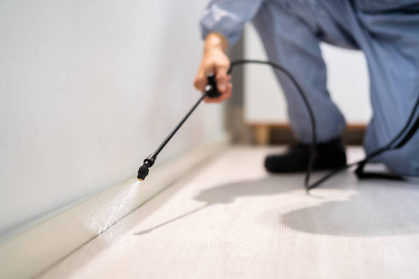 Licensed Pest Control service in Meriden, CT - Show Me Pest Control