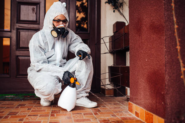 Attic and Crawl Space Rodent Treatment in Meriden